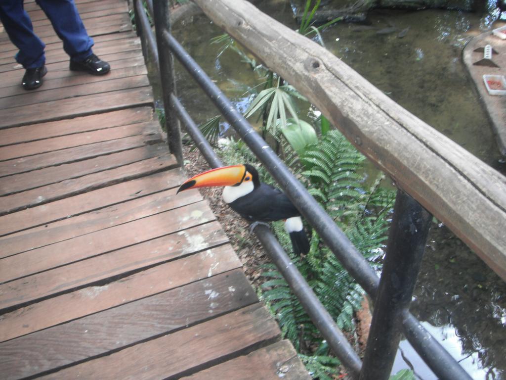 Casa Ferias Foz Villa Foz do Iguaçu Eksteriør billede
